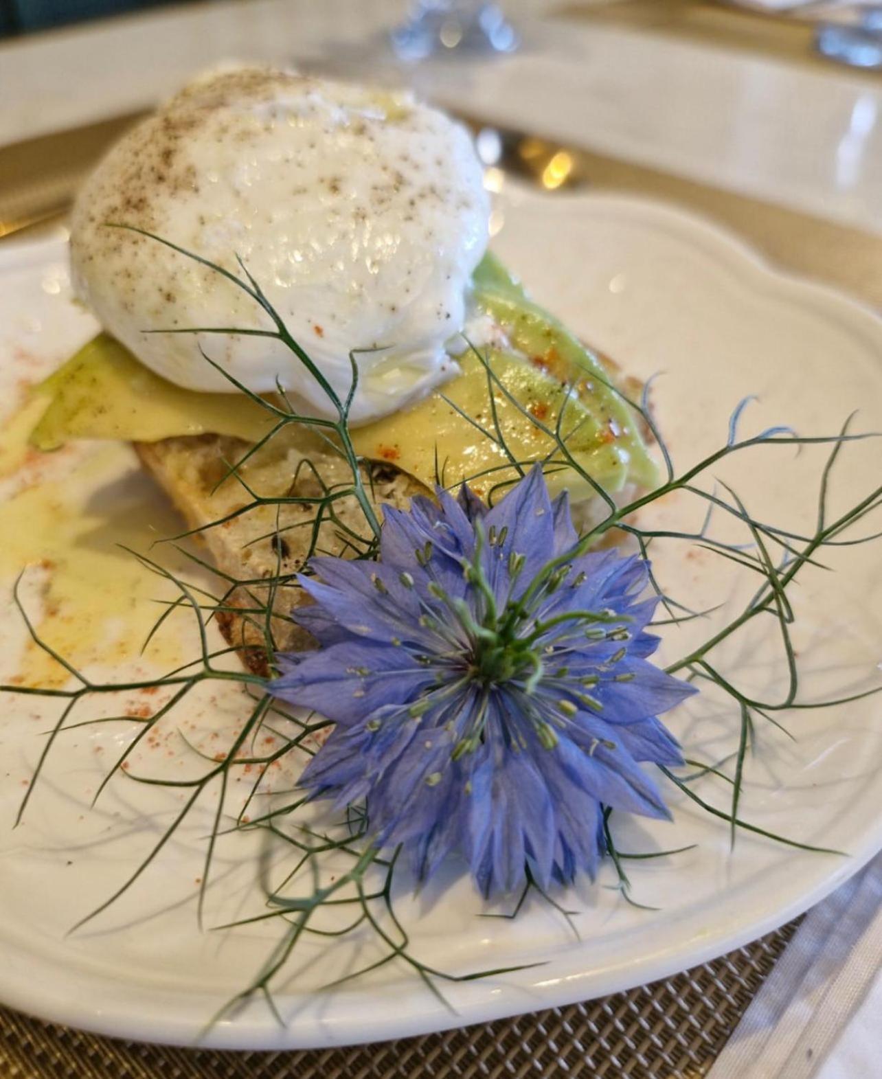 Blumen Hotel Boutique Canela Zewnętrze zdjęcie